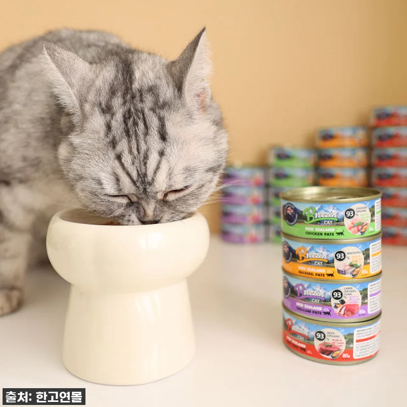 브리젠 뉴질랜드산 전연령 고양이 주식 관련 이미지 6