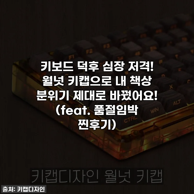 키보드 덕후 심장 저격! 월넛 키캡으로 내 책상 분위기 제대로 바꿨어요! (feat. 품절임박 찐후기)