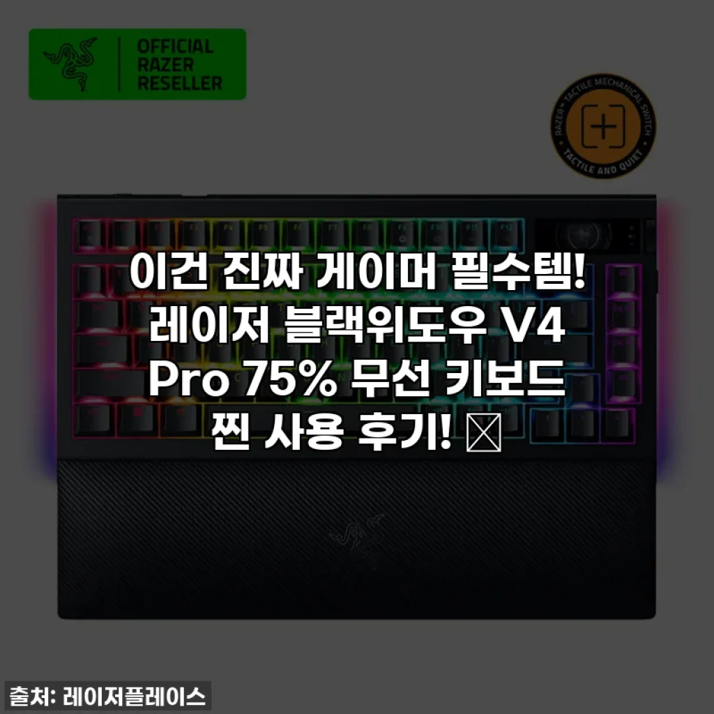 이건 진짜 게이머 필수템! 레이저 블랙위도우 V4 Pro 75% 무선 키보드 찐 사용 후기! ✨