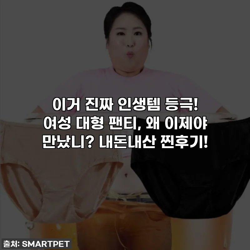 이거 진짜 인생템 등극! 여성 대형 팬티, 왜 이제야 만났니? 내돈내산 찐후기!
