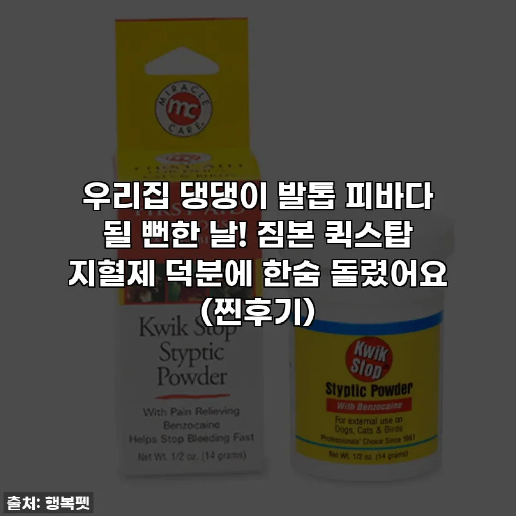 우리집 댕댕이 발톱 피바다 될 뻔한 날! 짐본 퀵스탑 지혈제 덕분에 한숨 돌렸어요 (찐후기)
