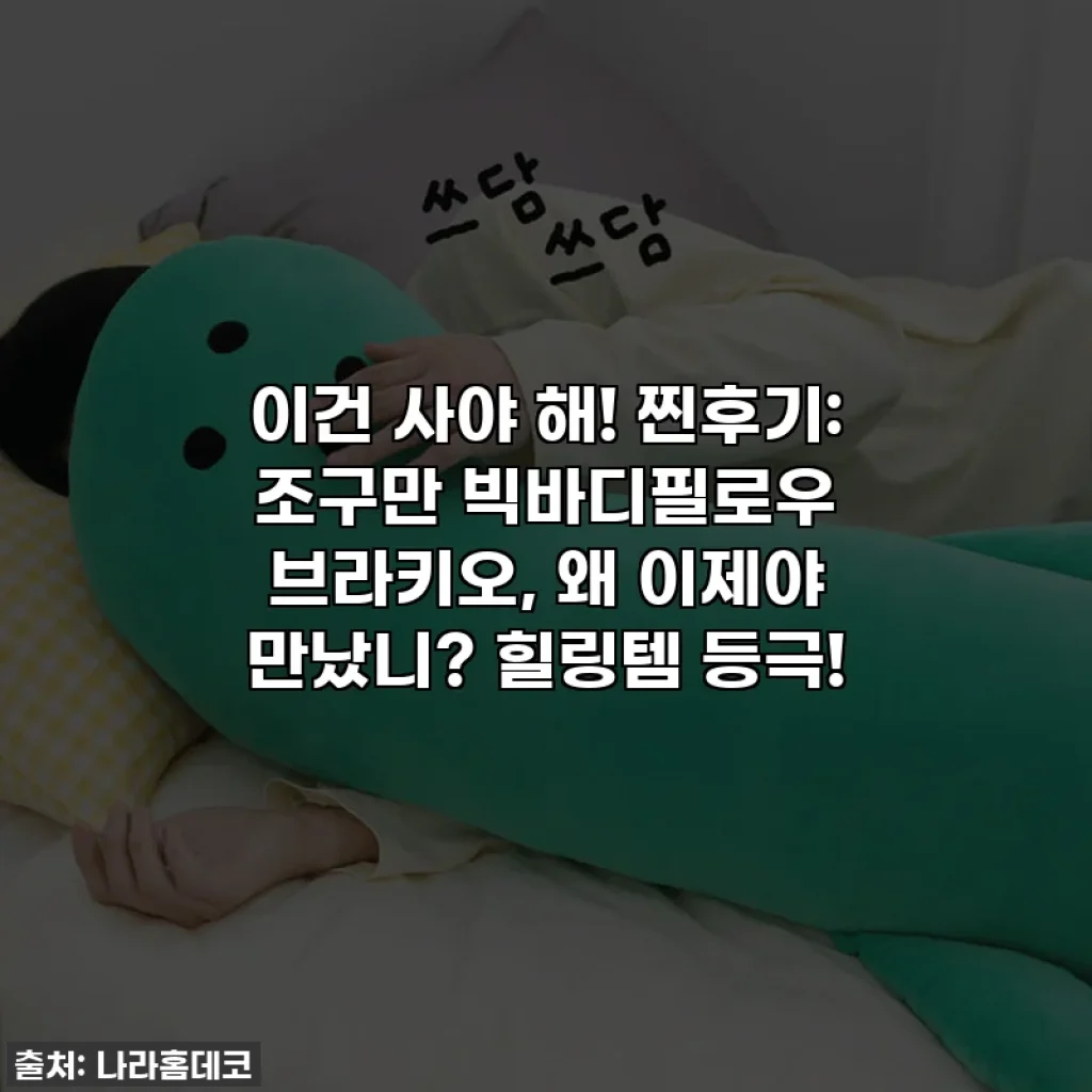 이건 사야 해! 찐후기: 조구만 빅바디필로우 브라키오, 왜 이제야 만났니? 힐링템 등극!