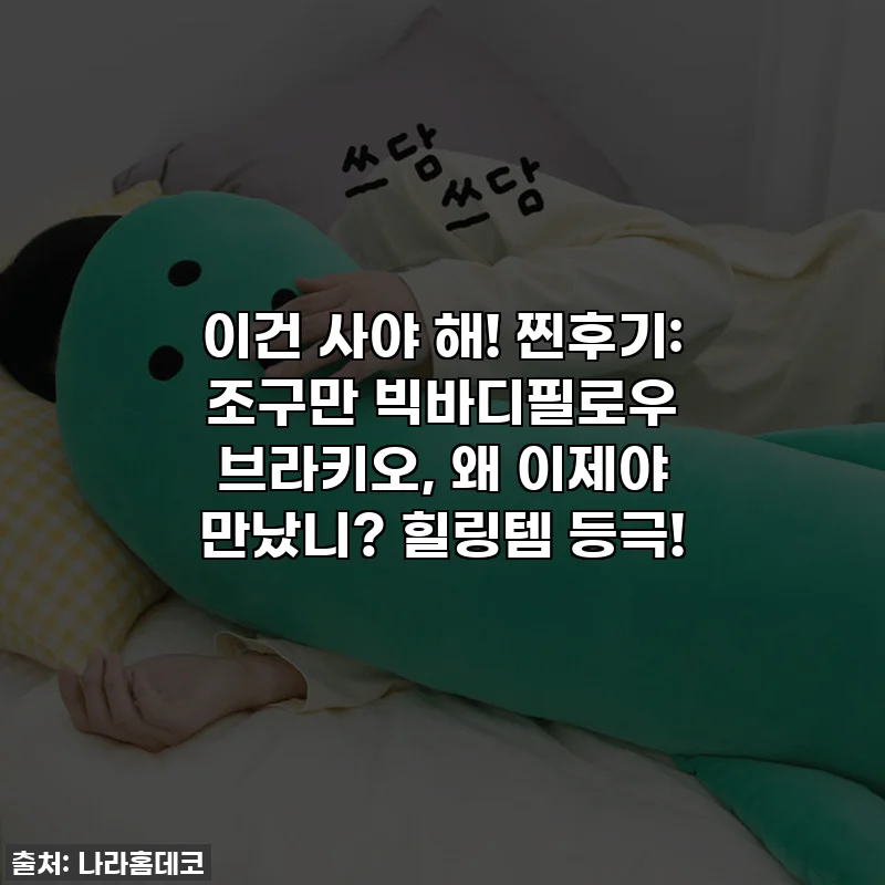 이건 사야 해! 찐후기: 조구만 빅바디필로우 브라키오, 왜 이제야 만났니? 힐링템 등극!