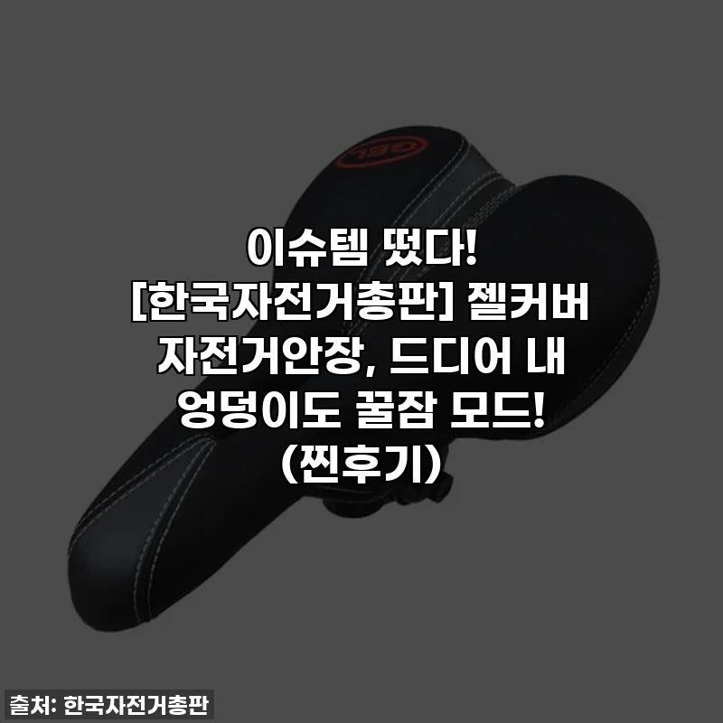 이슈템 떴다! [한국자전거총판] 젤커버 자전거안장, 드디어 내 엉덩이도 꿀잠 모드! (찐후기)
