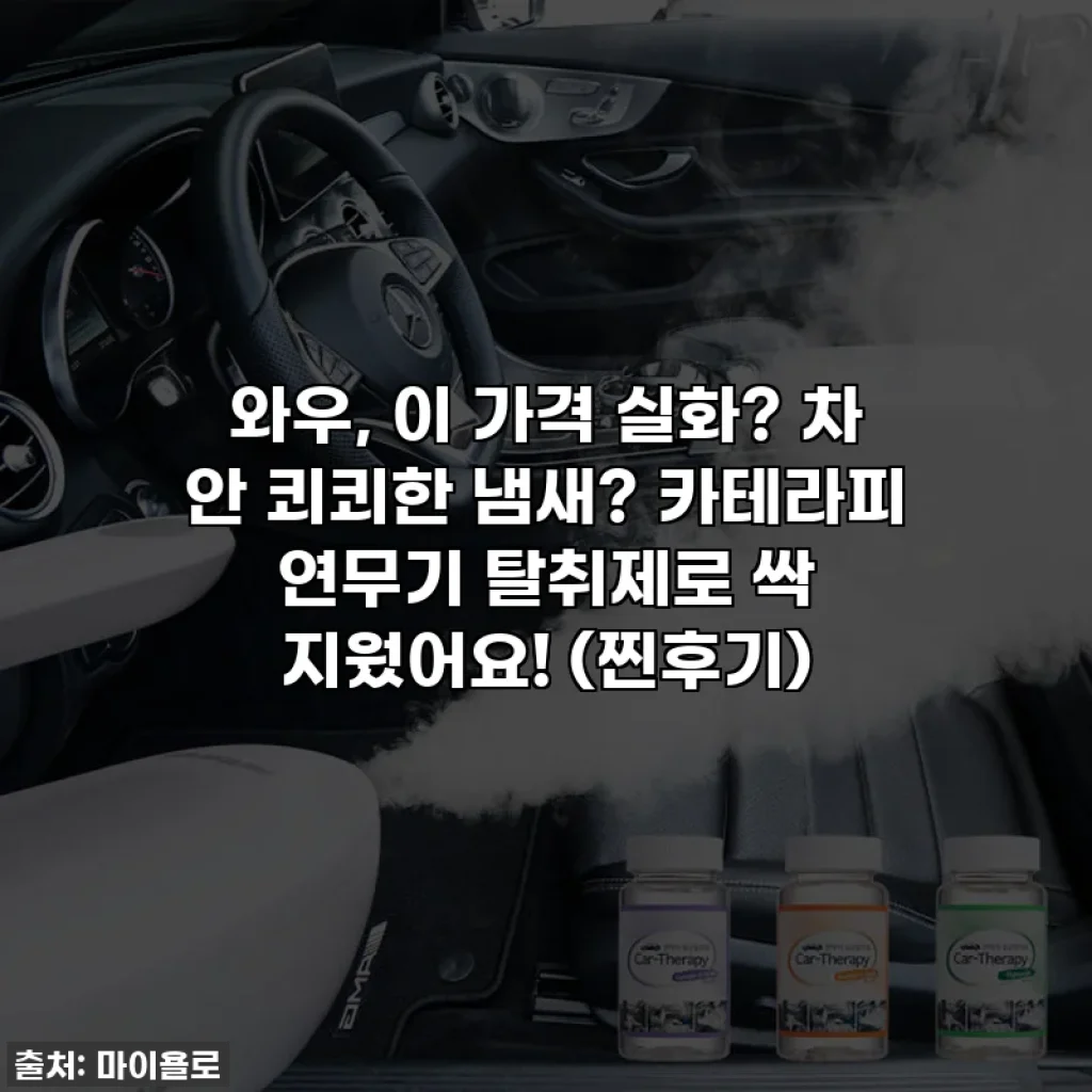 와우, 이 가격 실화? 차 안 쾨쾨한 냄새? 카테라피 연무기 탈취제로 싹 지웠어요! (찐후기)