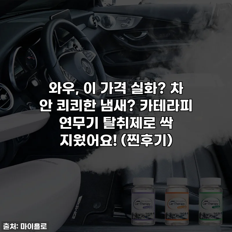 와우, 이 가격 실화? 차 안 쾨쾨한 냄새? 카테라피 연무기 탈취제로 싹 지웠어요! (찐후기)