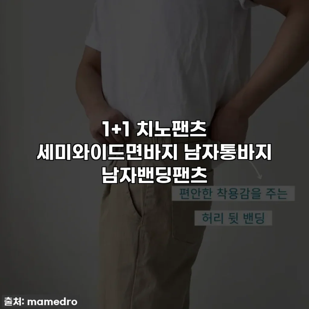 1+1 치노팬츠 세미와이드면바지 남자통바지 남자밴딩팬츠