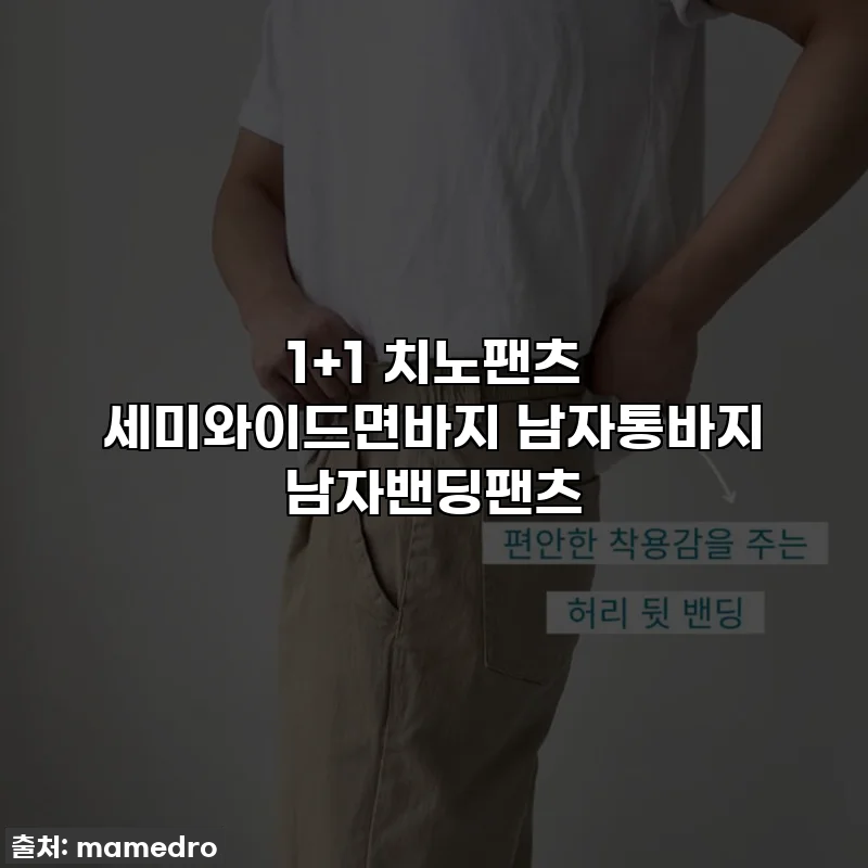 1+1 치노팬츠 세미와이드면바지 남자통바지 남자밴딩팬츠