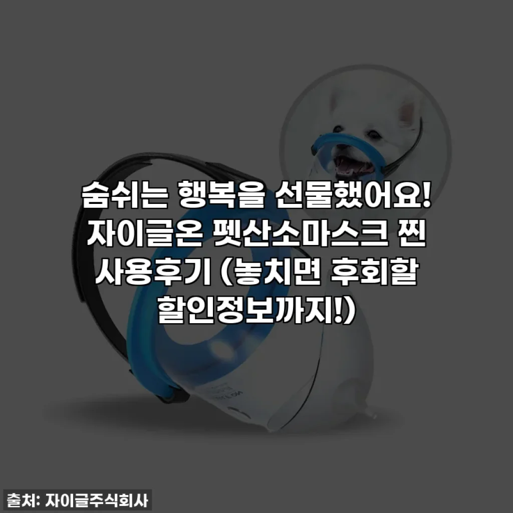 숨쉬는 행복을 선물했어요! 자이글온 펫산소마스크 찐 사용후기 (놓치면 후회할 할인정보까지!)