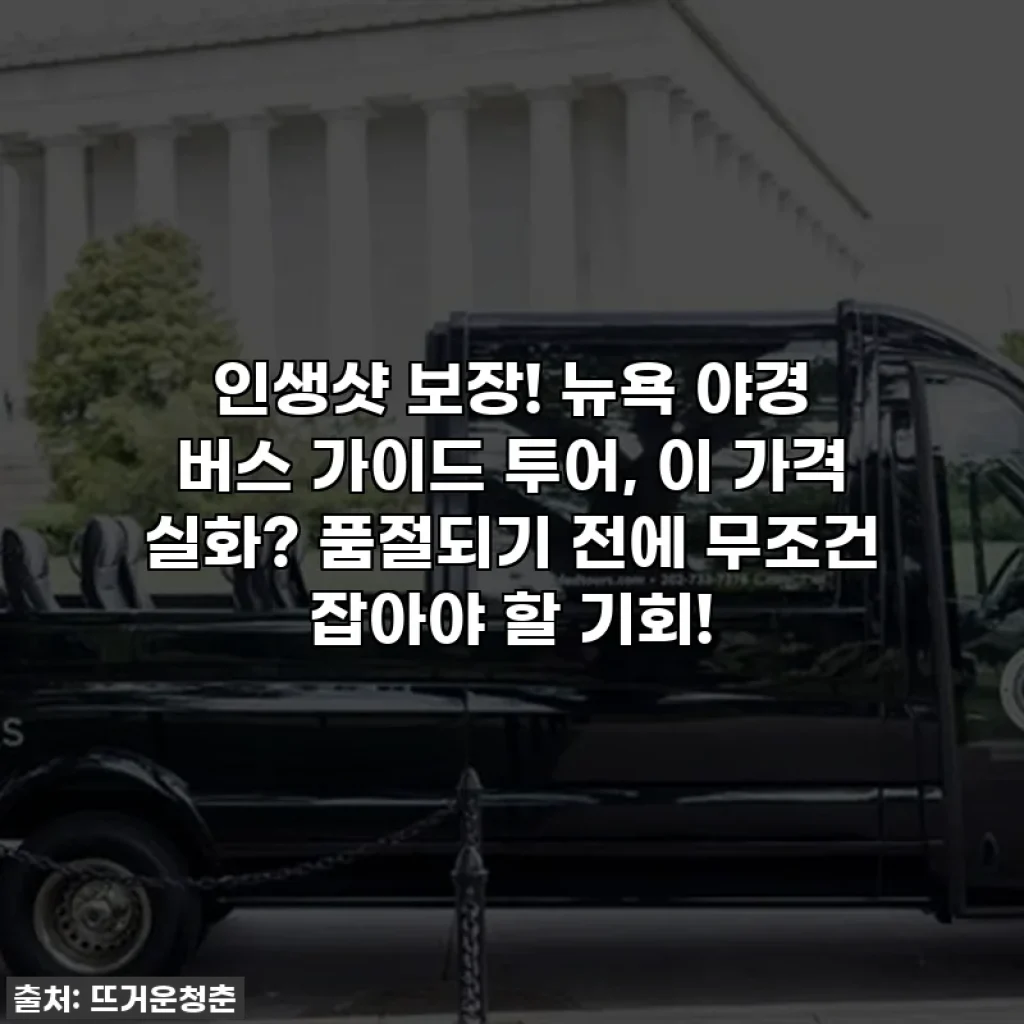 인생샷 보장! 뉴욕 야경 버스 가이드 투어, 이 가격 실화? 품절되기 전에 무조건 잡아야 할 기회!