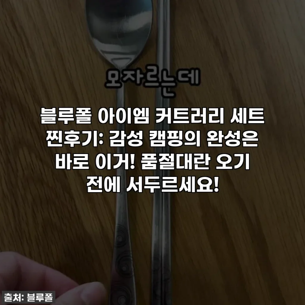 블루폴 아이엠 커트러리 세트 찐후기: 감성 캠핑의 완성은 바로 이거! 품절대란 오기 전에 서두르세요!