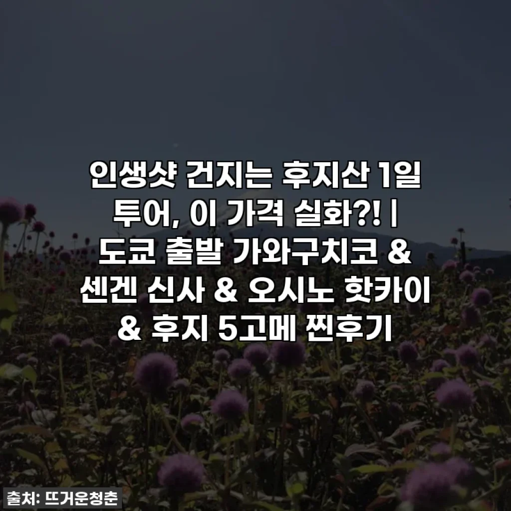 인생샷 건지는 후지산 1일 투어, 이 가격 실화?! | 도쿄 출발 가와구치코 & 센겐 신사 & 오시노 핫카이 & 후지 5고메 찐후기