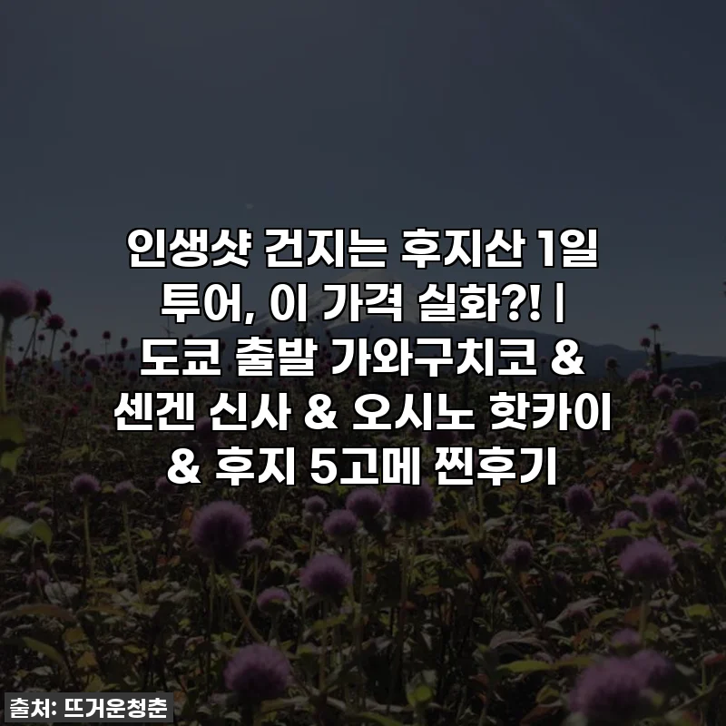 인생샷 건지는 후지산 1일 투어, 이 가격 실화?! | 도쿄 출발 가와구치코 & 센겐 신사 & 오시노 핫카이 & 후지 5고메 찐후기