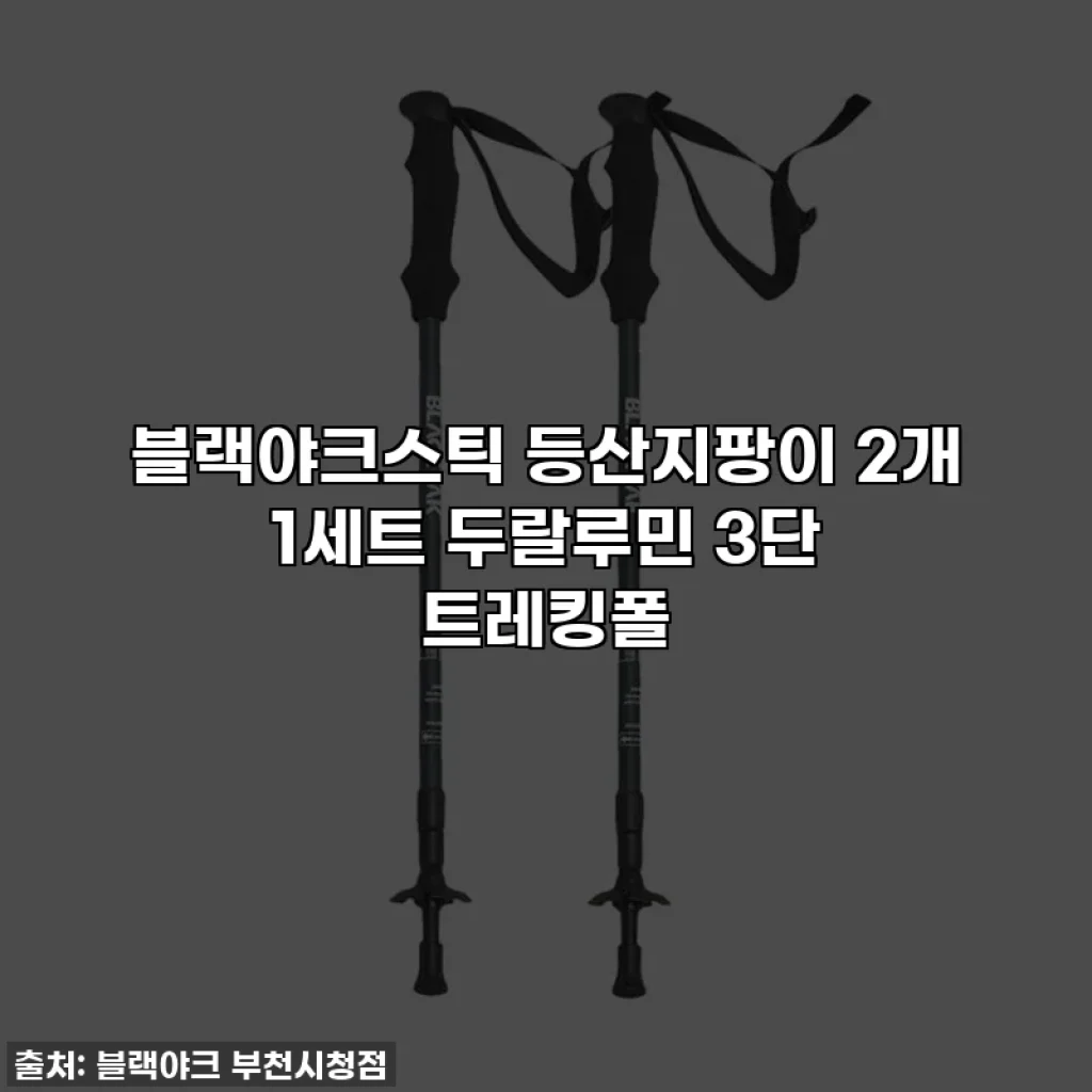블랙야크스틱 등산지팡이 2개 1세트 두랄루민 3단 트레킹폴