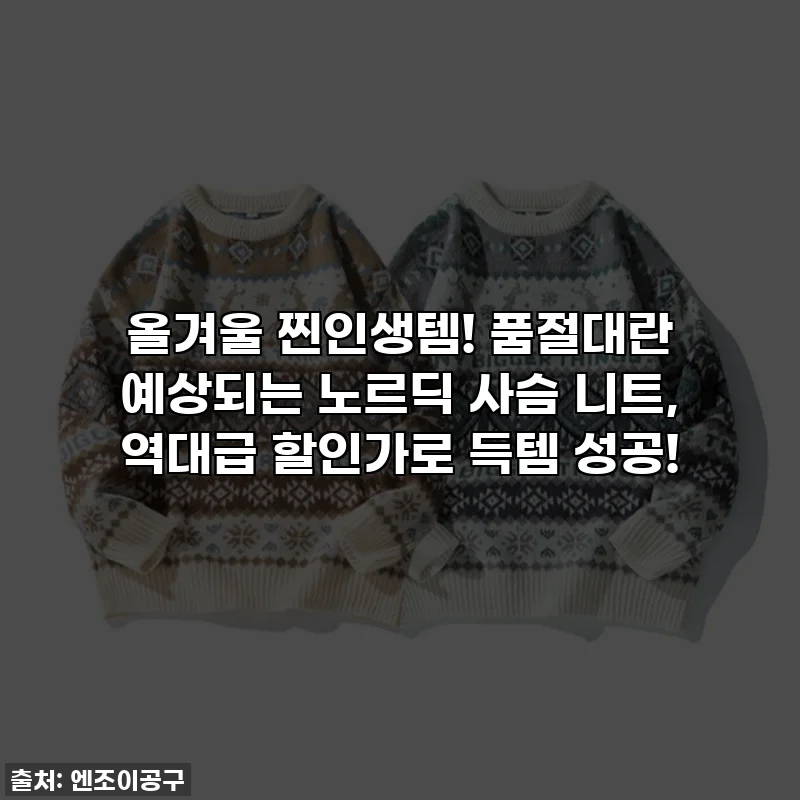 올겨울 찐인생템! 품절대란 예상되는 노르딕 사슴 니트, 역대급 할인가로 득템 성공!
