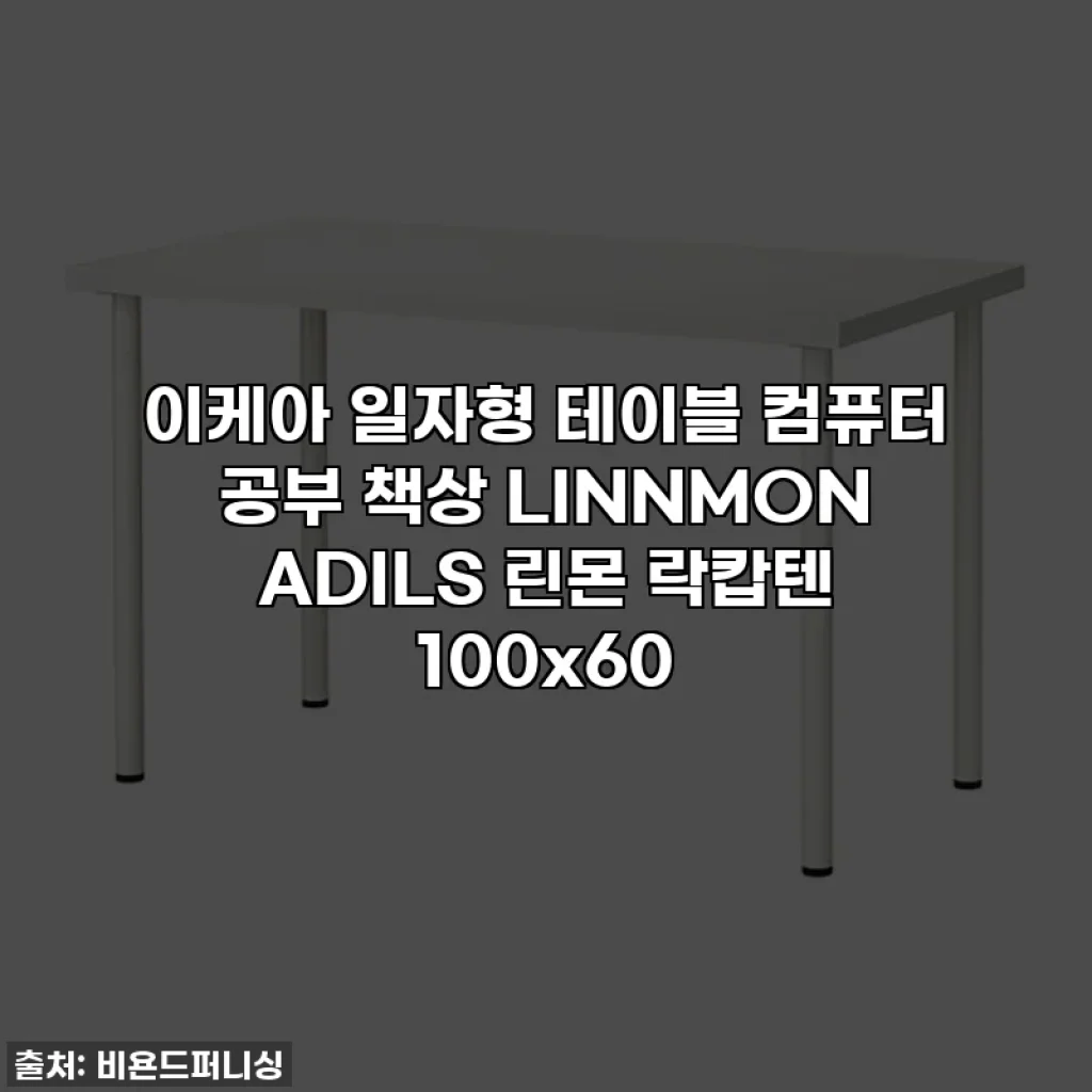 이케아 일자형 테이블 컴퓨터 공부 책상 LINNMON ADILS 린몬 락캅텐 100x60