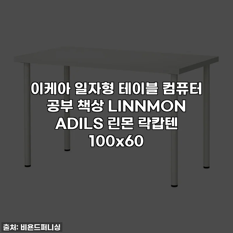 이케아 일자형 테이블 컴퓨터 공부 책상 LINNMON ADILS 린몬 락캅텐 100x60