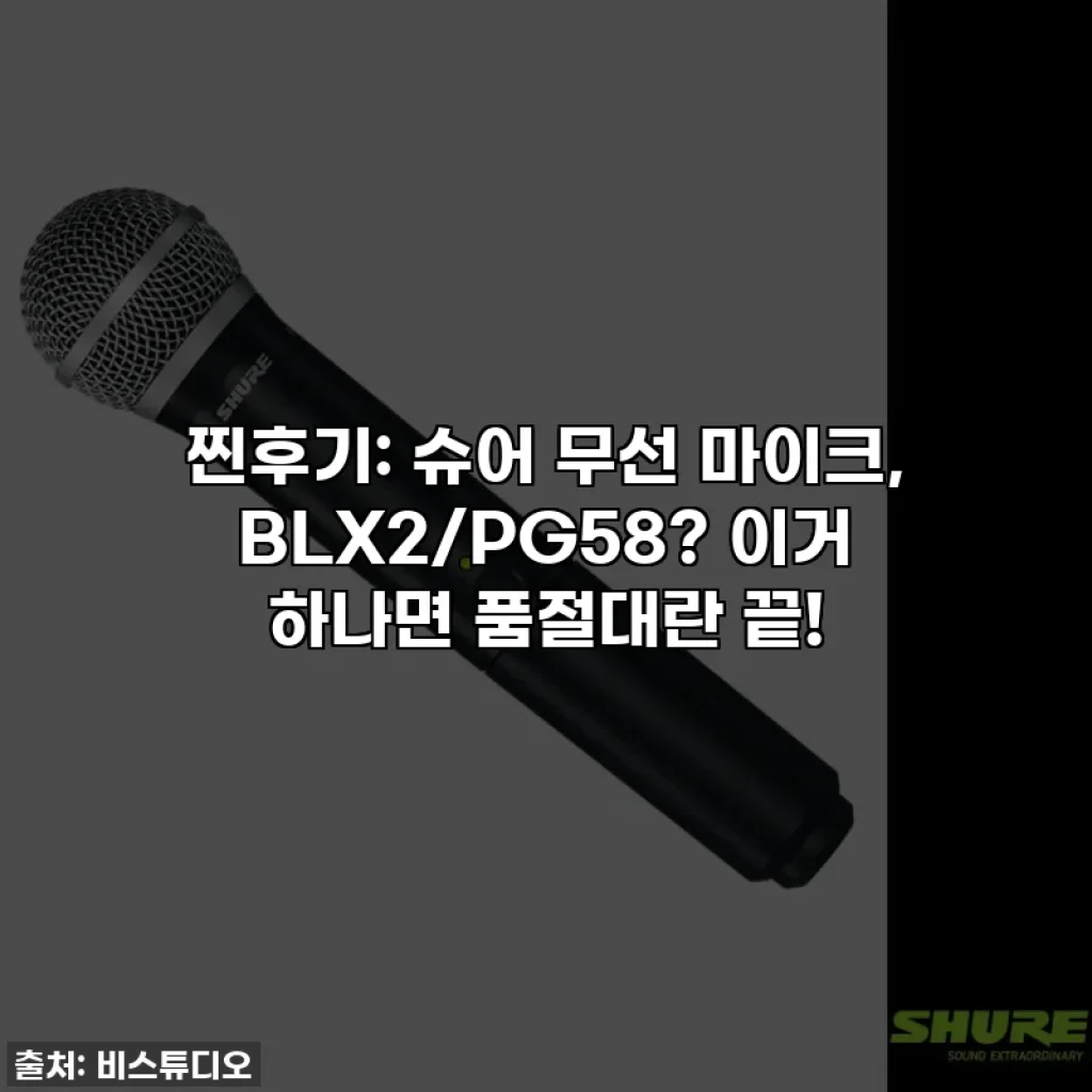 찐후기: 슈어 무선 마이크, BLX2/PG58? 이거 하나면 품절대란 끝!