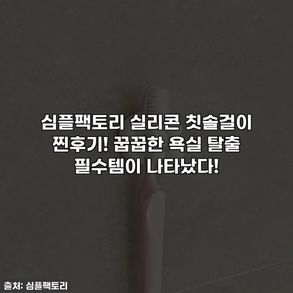 심플팩토리 실리콘 칫솔걸이 찐후기! 꿉꿉한 욕실 탈출 필수템이 나타났다!