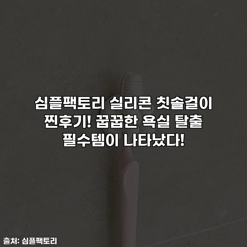 심플팩토리 실리콘 칫솔걸이 찐후기! 꿉꿉한 욕실 탈출 필수템이 나타났다!