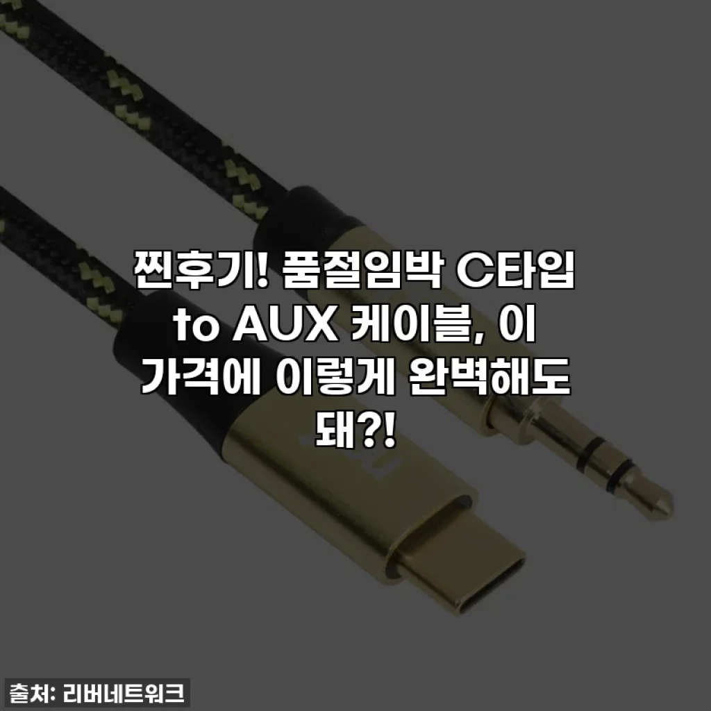 찐후기! 품절임박 C타입 to AUX 케이블, 이 가격에 이렇게 완벽해도 돼?!