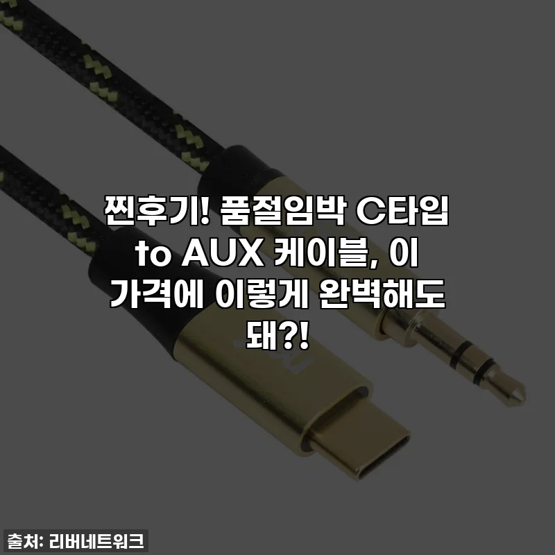 찐후기! 품절임박 C타입 to AUX 케이블, 이 가격에 이렇게 완벽해도 돼?!