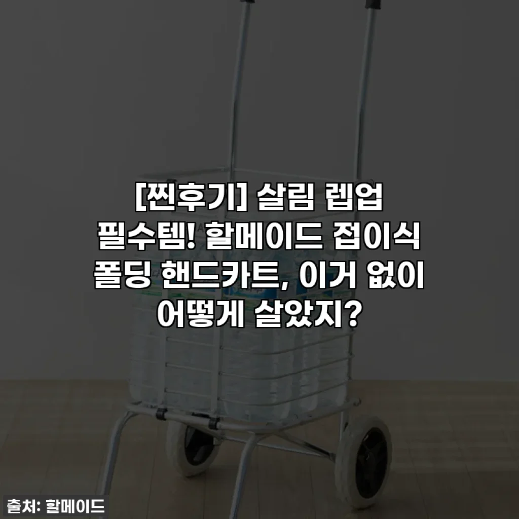 [찐후기] 살림 렙업 필수템! 할메이드 접이식 폴딩 핸드카트, 이거 없이 어떻게 살았지?