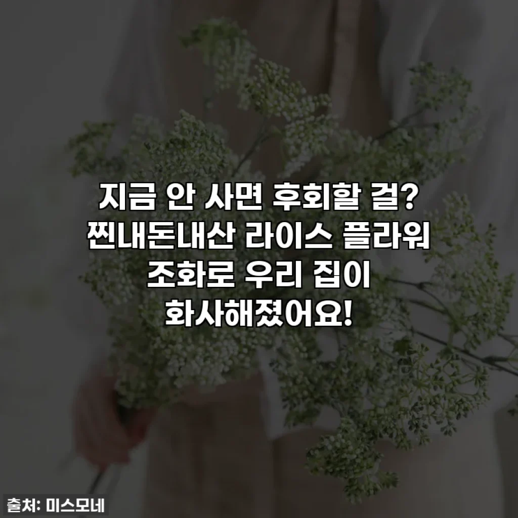 지금 안 사면 후회할 걸? 찐내돈내산 라이스 플라워 조화로 우리 집이 화사해졌어요!