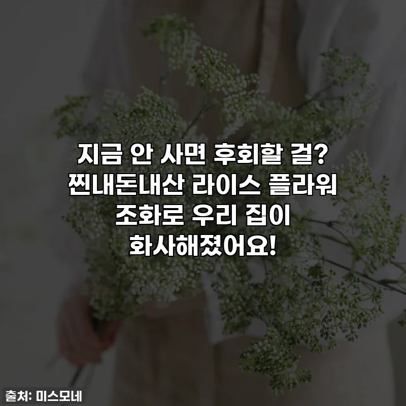 지금 안 사면 후회할 걸? 찐내돈내산 라이스 플라워 조화로 우리 집이 화사해졌어요!