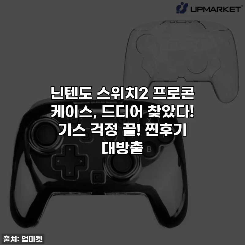 닌텐도 스위치2 프로콘 케이스, 드디어 찾았다! 기스 걱정 끝! 찐후기 대방출 ✨