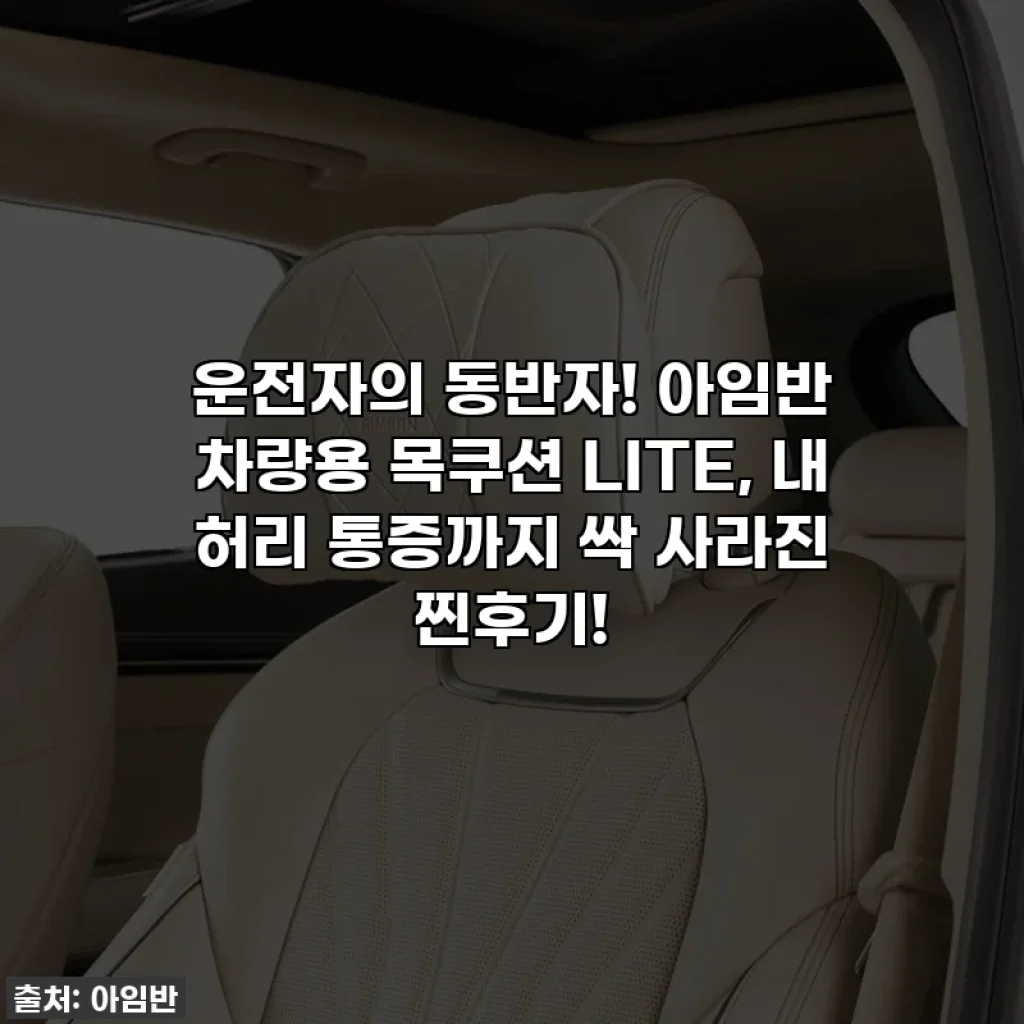 운전자의 동반자! 아임반 차량용 목쿠션 LITE, 내 허리 통증까지 싹 사라진 찐후기! ✨