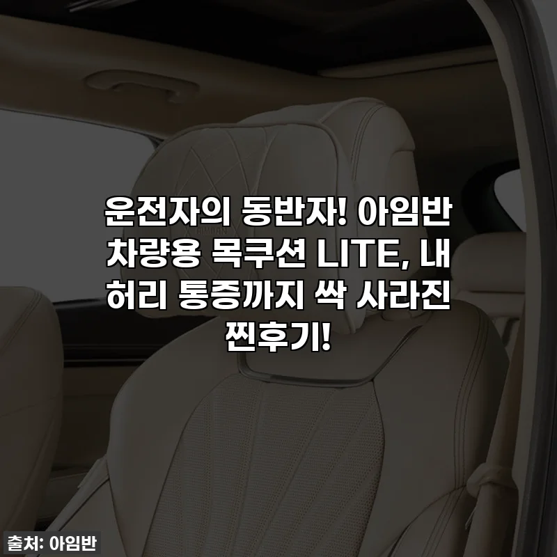 운전자의 동반자! 아임반 차량용 목쿠션 LITE, 내 허리 통증까지 싹 사라진 찐후기! ✨