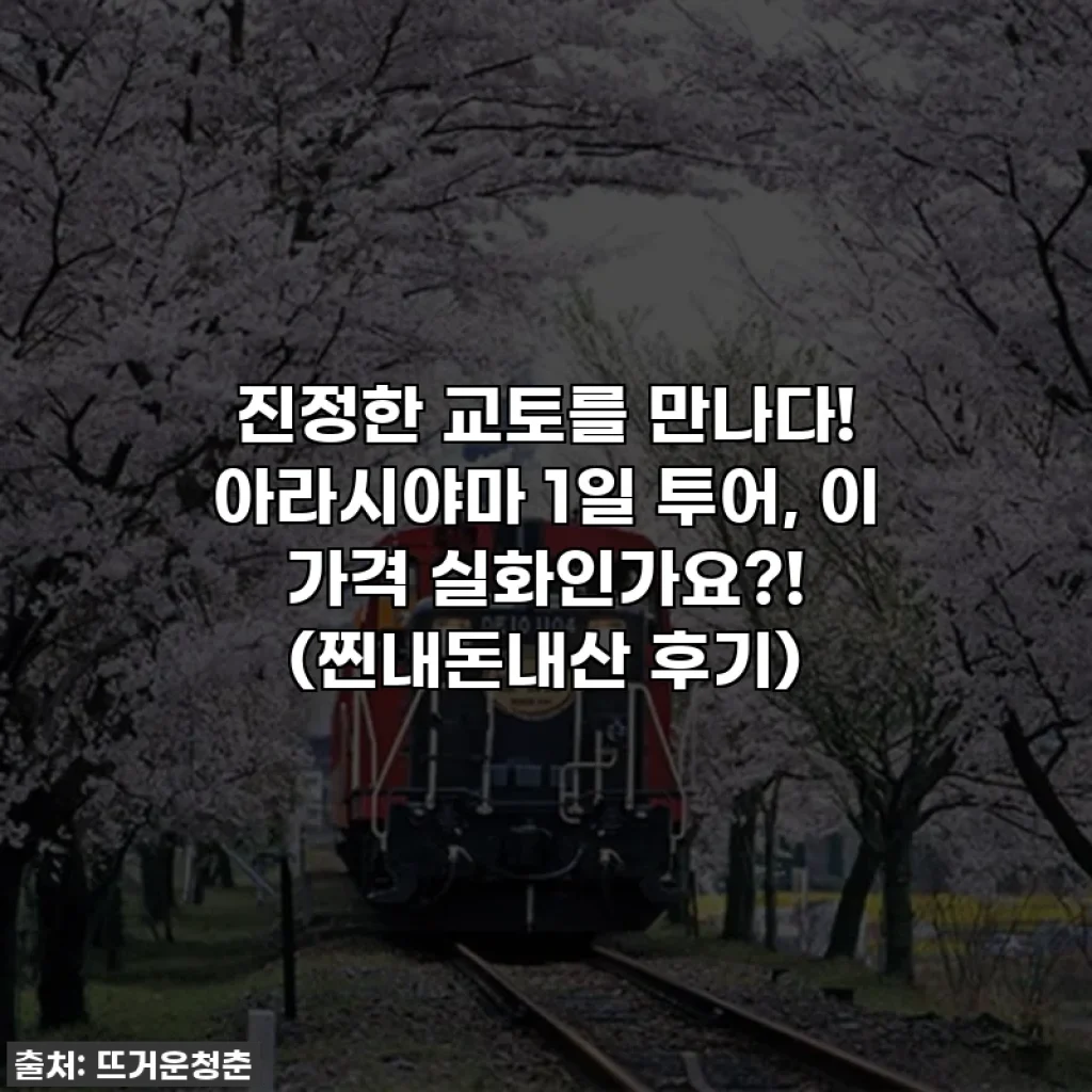 진정한 교토를 만나다! 아라시야마 1일 투어, 이 가격 실화인가요?! (찐내돈내산 후기)