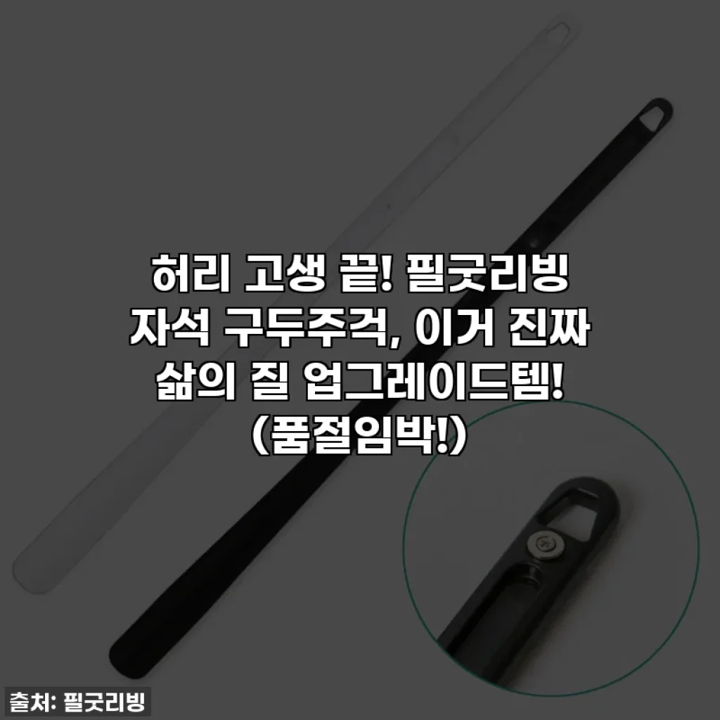 💥허리 고생 끝! 필굿리빙 자석 구두주걱, 이거 진짜 삶의 질 업그레이드템! (품절임박!)
