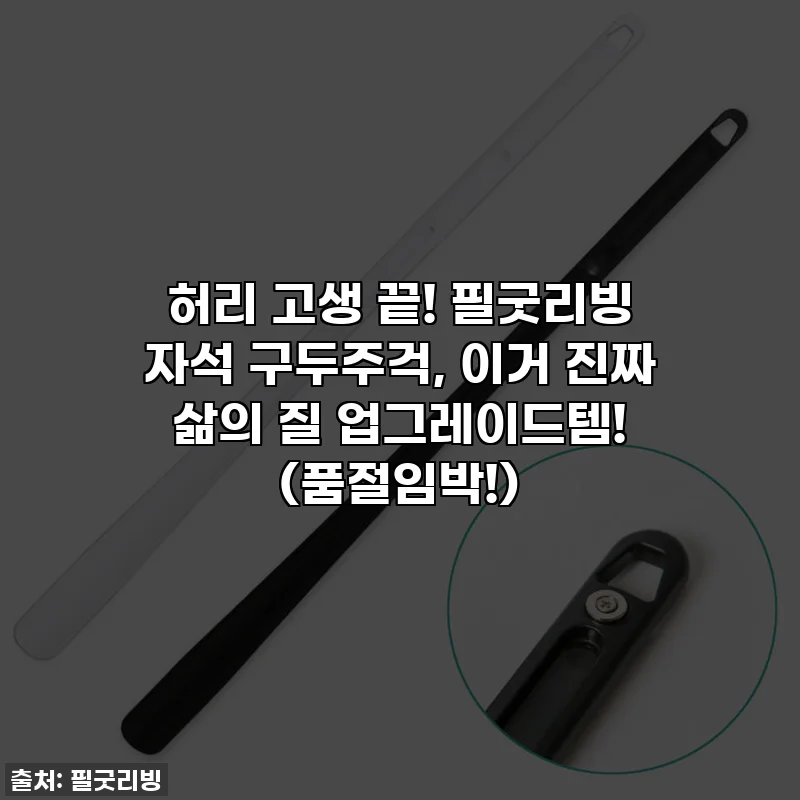 💥허리 고생 끝! 필굿리빙 자석 구두주걱, 이거 진짜 삶의 질 업그레이드템! (품절임박!)