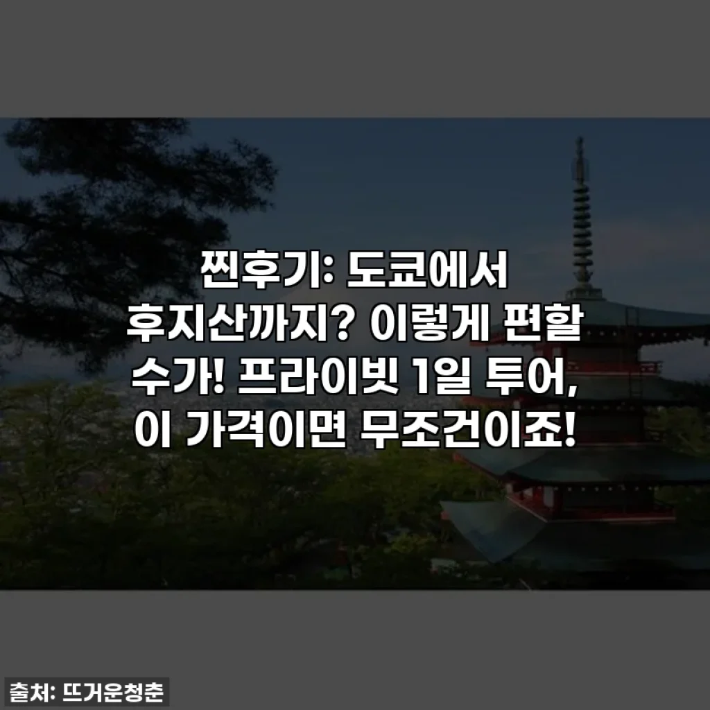 찐후기: 도쿄에서 후지산까지? 이렇게 편할 수가! 프라이빗 1일 투어, 이 가격이면 무조건이죠!