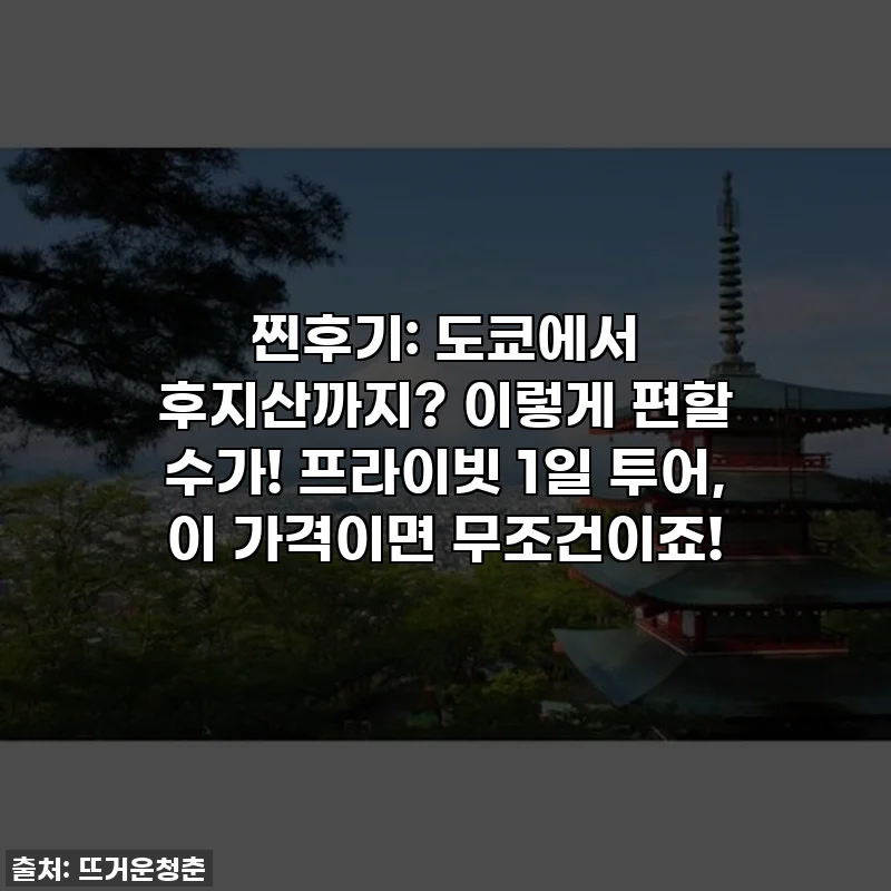 찐후기: 도쿄에서 후지산까지? 이렇게 편할 수가! 프라이빗 1일 투어, 이 가격이면 무조건이죠!