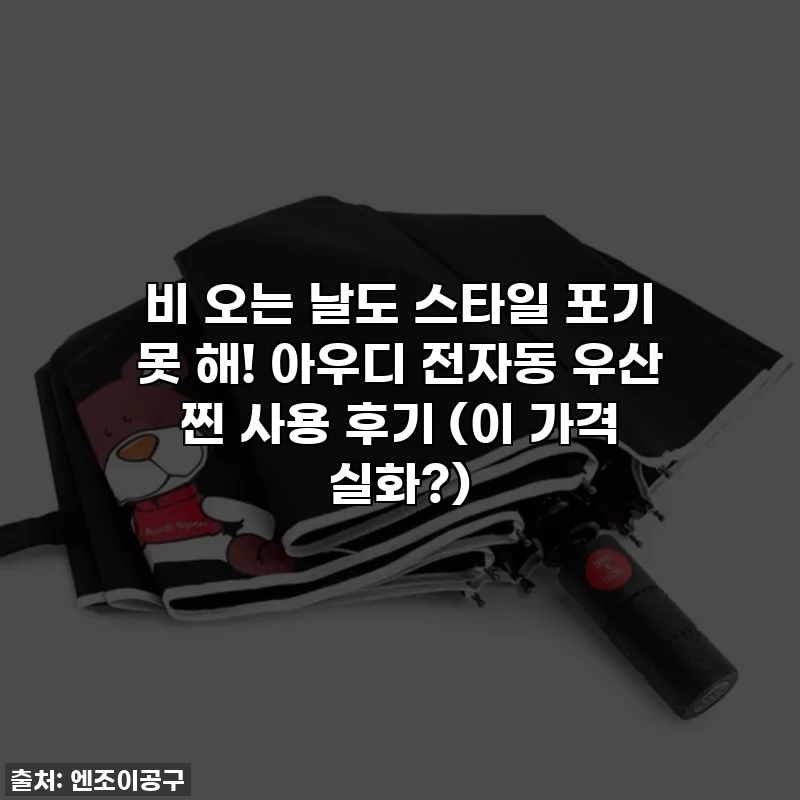 비 오는 날도 스타일 포기 못 해! 아우디 전자동 우산 찐 사용 후기 (이 가격 실화?)