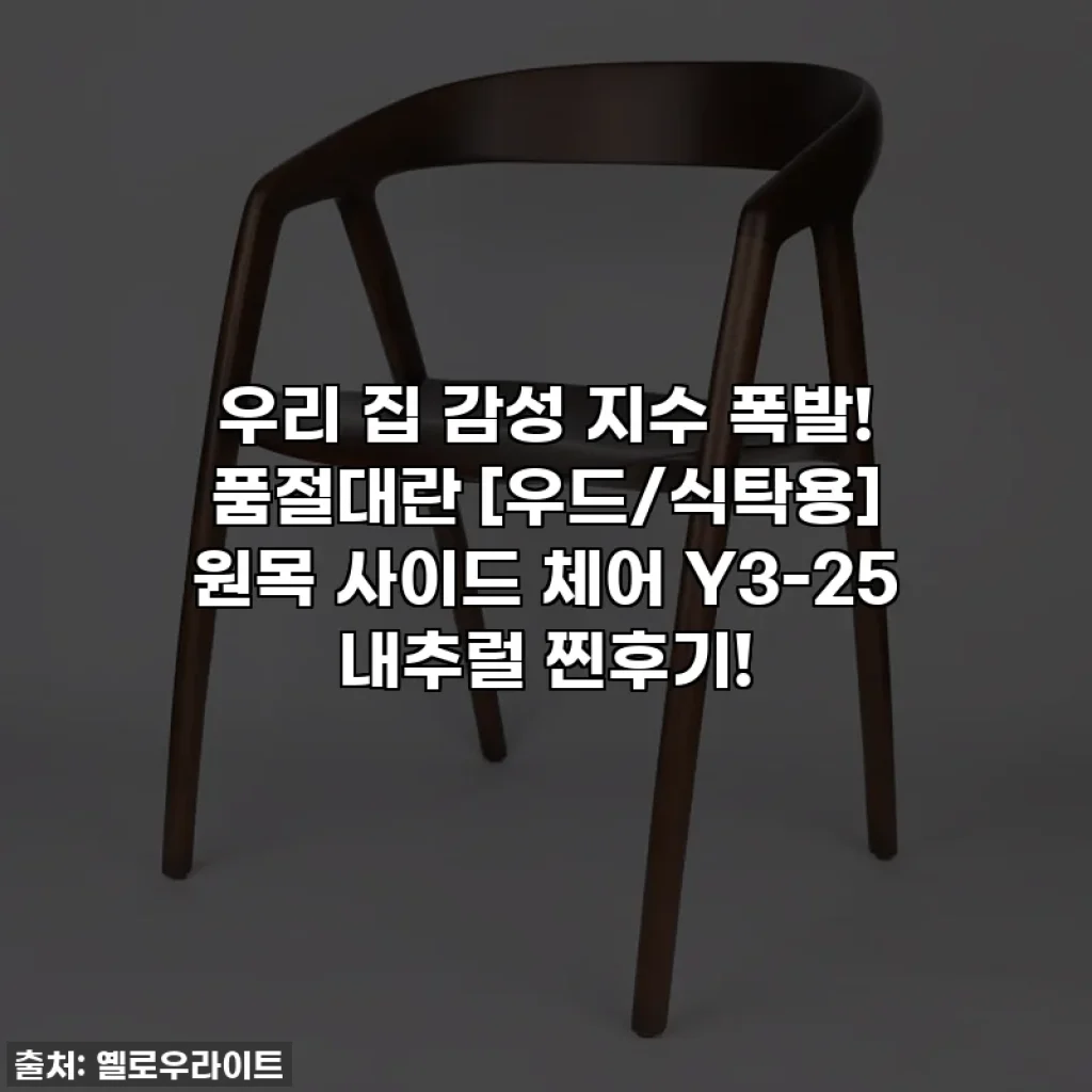 우리 집 감성 지수 폭발! 품절대란 [우드/식탁용] 원목 사이드 체어 Y3-25 내추럴 찐후기!