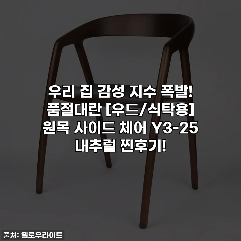 우리 집 감성 지수 폭발! 품절대란 [우드/식탁용] 원목 사이드 체어 Y3-25 내추럴 찐후기!