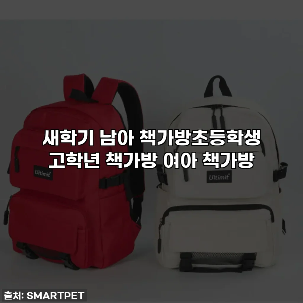 새학기 남아 책가방초등학생 고학년 책가방 여아 책가방