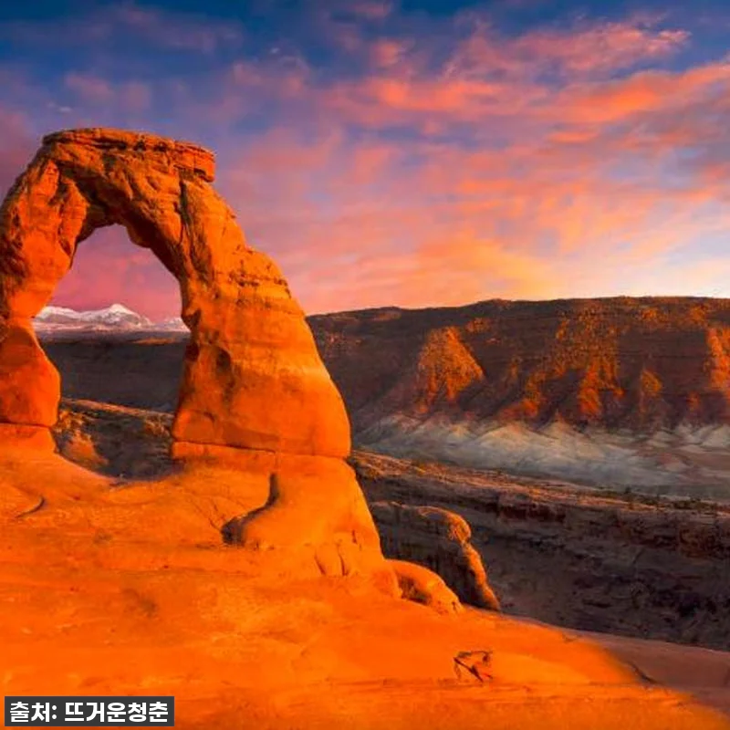 역대급 할인 놓치면 후회! 옐로스톤 관련 이미지 1