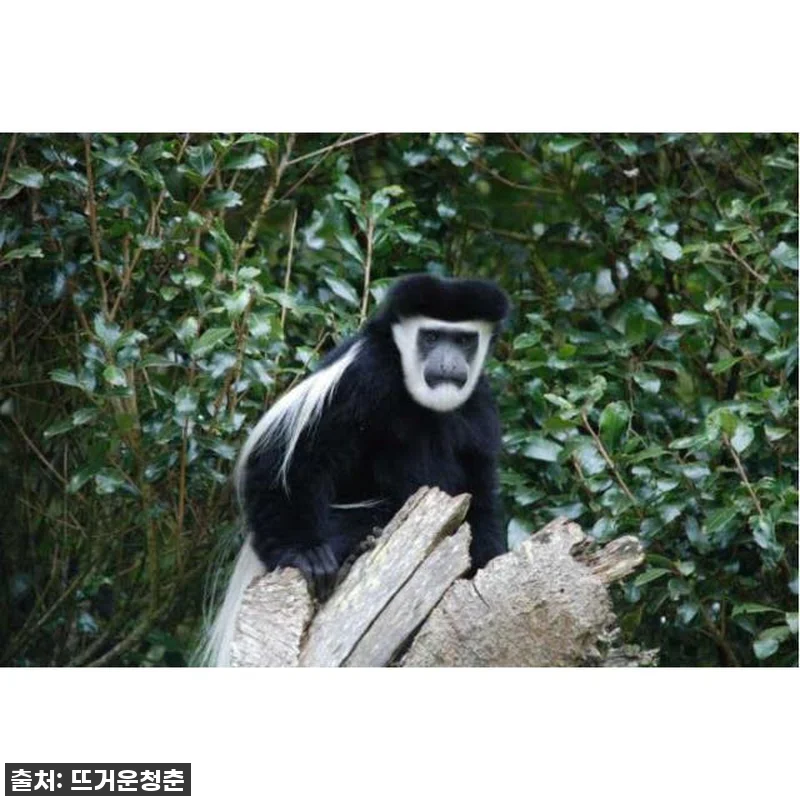 탄자니아 아루샤 또는 모시에서 출발하 관련 이미지 1