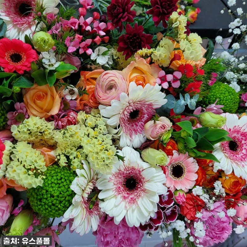 싱그러움이 가득! 유스풀몰 꽃 정기구 관련 이미지 1