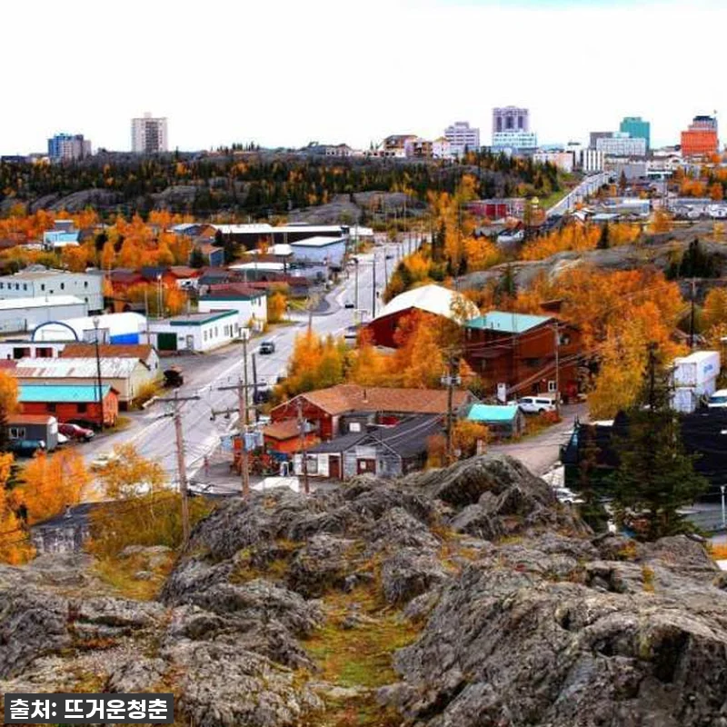 지금 아니면 후회할 걸? ✨ 캐나다 관련 이미지 1