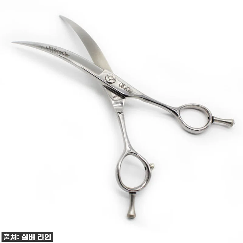 우리집 댕댕이, 미용실 안 가도 돼! 관련 이미지 1