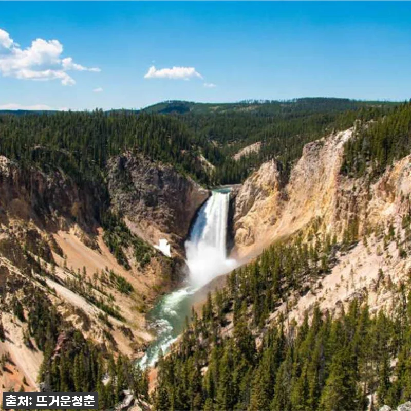 꿈만 꾸던 옐로스톤 6박 7일 투어, 관련 이미지 2