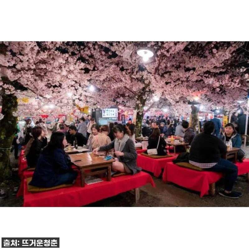 진정한 교토의 밤을 맛보다! 현지인처 관련 이미지 2