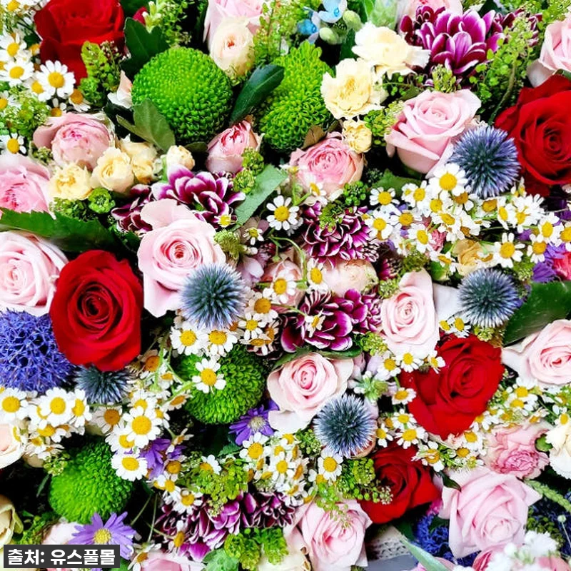 싱그러움이 가득! 유스풀몰 꽃 정기구 관련 이미지 2