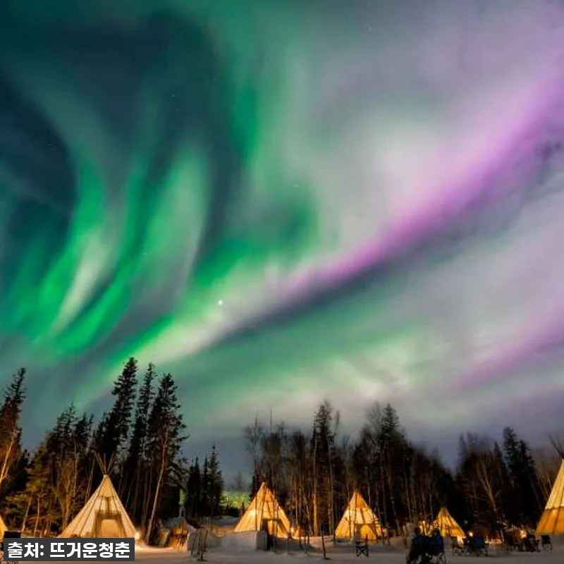 지금 아니면 후회할 걸? ✨ 캐나다 관련 이미지 2